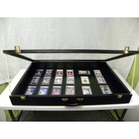 Trade Show Display case P302B Baseball Cards, Jewelry, Coins Show Display Case   371230709984